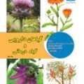 کتاب گیاهان دارویی و گیاه درمانی - محمدحسین صالحی سورمقی